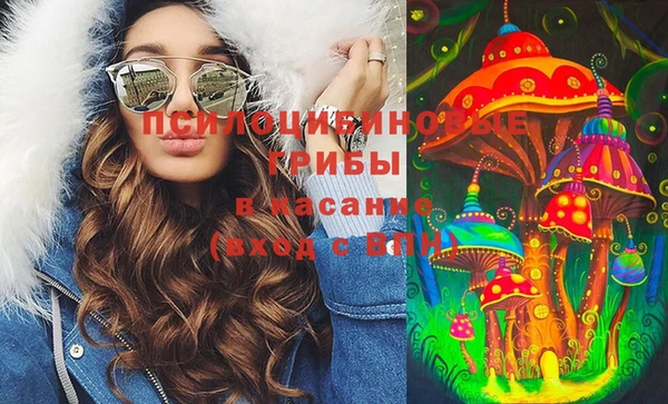 ПСИЛОЦИБИНОВЫЕ ГРИБЫ Алексин