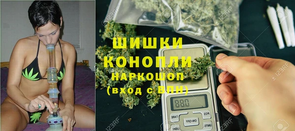 ПСИЛОЦИБИНОВЫЕ ГРИБЫ Алексин