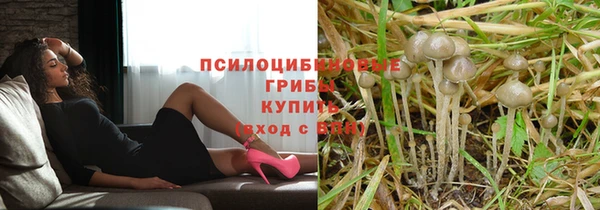 ПСИЛОЦИБИНОВЫЕ ГРИБЫ Алексин