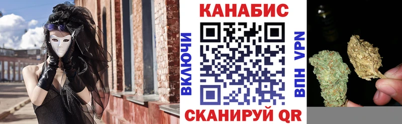 Купить где  Староминская  Конопля гибрид 